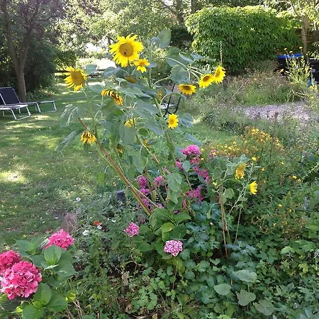 Ferienwohnung-alte-schule Apartamento